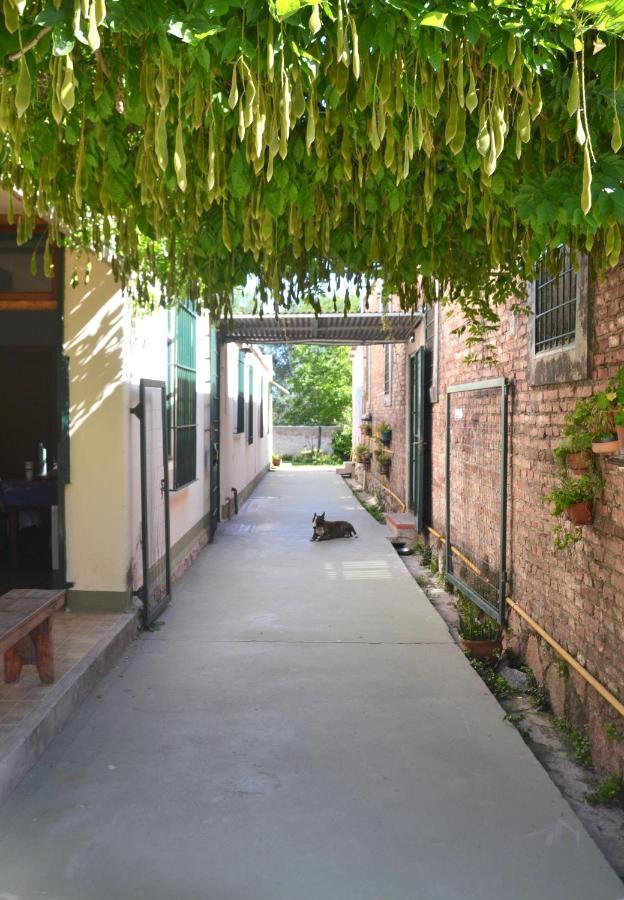 B&B Garden Atelier ラ・クンブレ エクステリア 写真